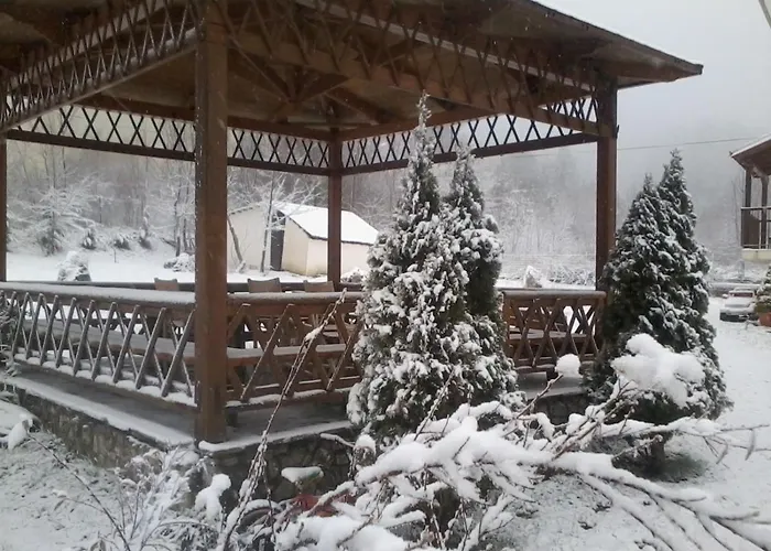 招待所 Alexandra 格雷韦纳