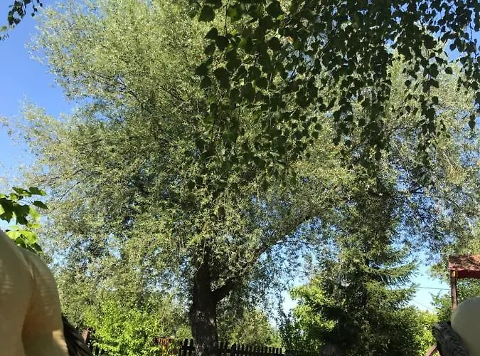 Alexandra 招待所 3*